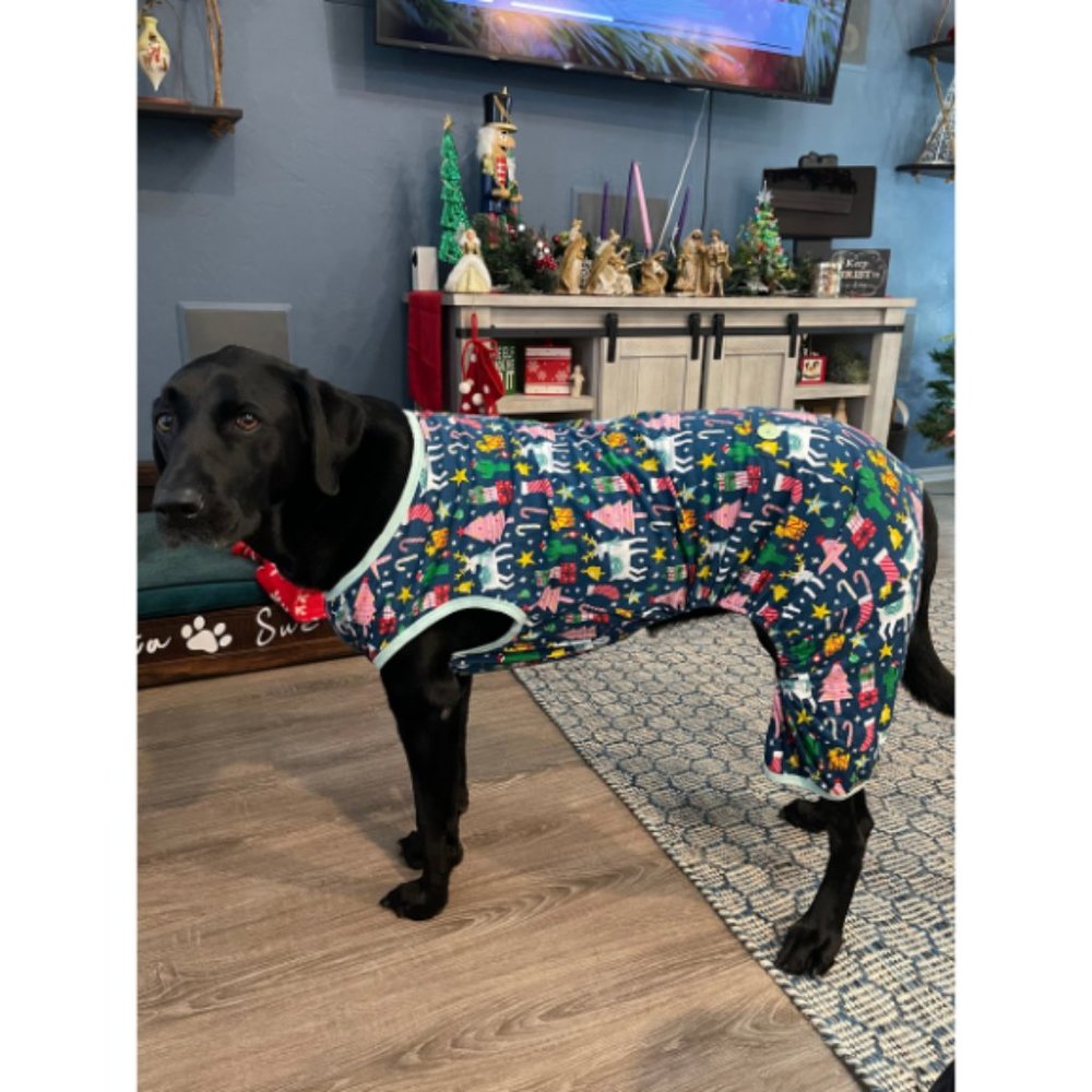 Nordic Pattern Christmas Dog Pajamas